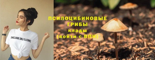 таблы Богданович
