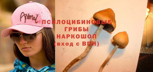 молекула духа Богородицк