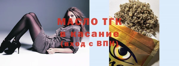 молекула духа Богородицк
