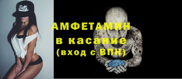 молекула духа Богородицк