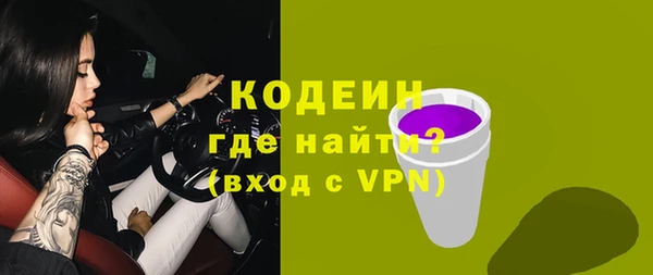 молекула духа Богородицк