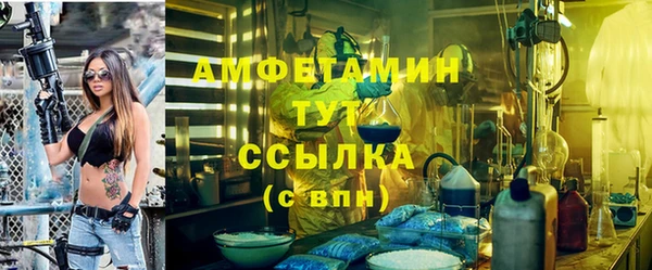 молекула духа Богородицк